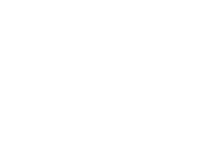 BGI Investment Group