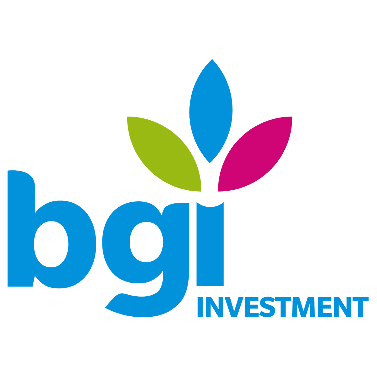 BGI Investment Group